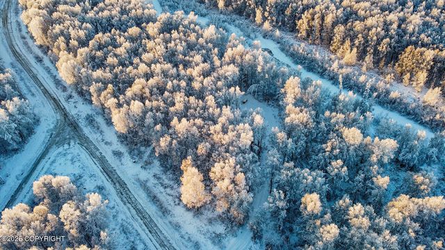 49246 S Hunter Drive, Willow, AK 99688