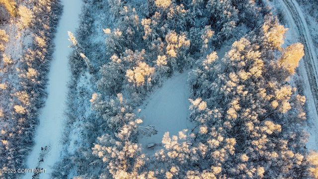 49246 S Hunter Drive, Willow, AK 99688