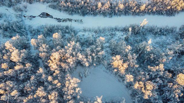 49246 S Hunter Drive, Willow, AK 99688