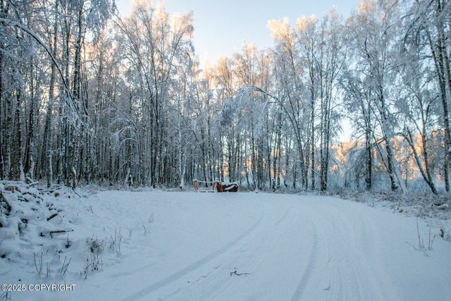 49246 S Hunter Drive, Willow, AK 99688