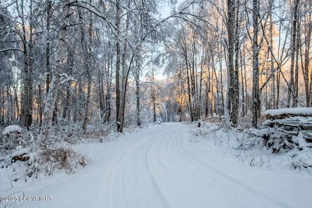 49246 S Hunter Drive, Willow, AK 99688