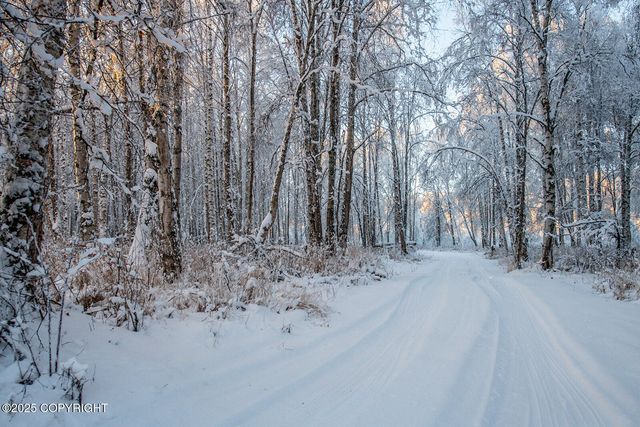 49246 S Hunter Drive, Willow, AK 99688