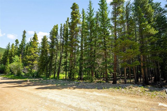 112 Deer Road, Idaho Springs, CO 80452