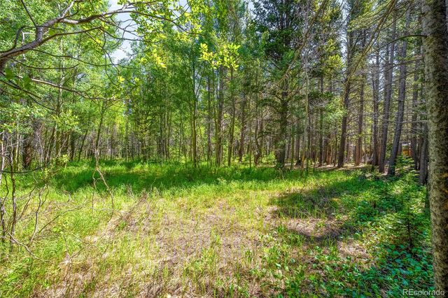 112 Deer Road, Idaho Springs, CO 80452