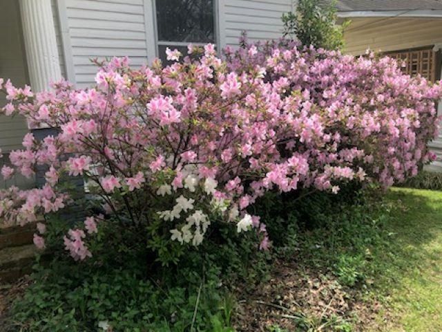 2069 VINTON AVE, Memphis, TN 38104