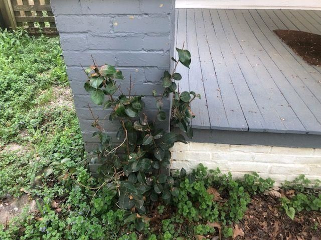 2069 VINTON AVE, Memphis, TN 38104