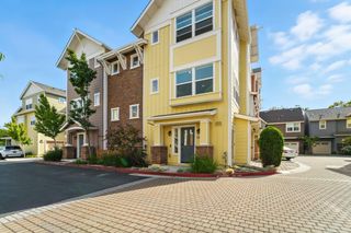 1201 S Hummingbird Lane, San Mateo, CA 94402