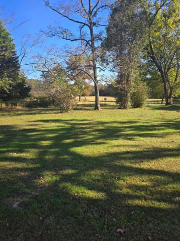 1978 Old Highway 60, Birch Tree, MO 65438