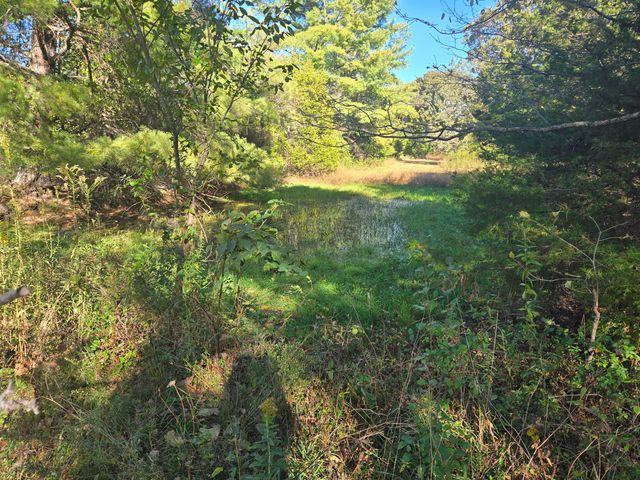 1978 Old Highway 60, Birch Tree, MO 65438