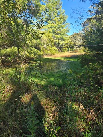 1978 Old Highway 60, Birch Tree, MO 65438