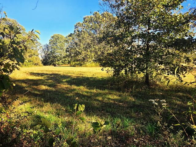 1978 Old Highway 60, Birch Tree, MO 65438