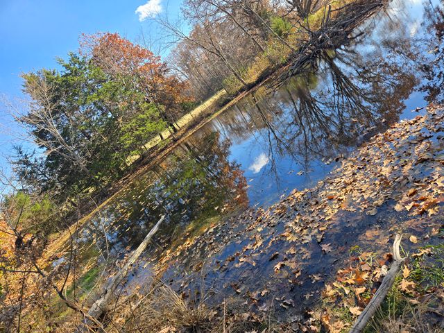 1978 Old Highway 60, Birch Tree, MO 65438