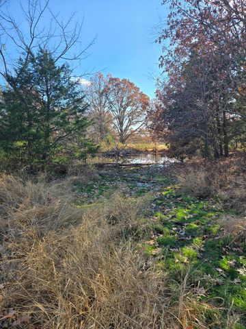 1978 Old Highway 60, Birch Tree, MO 65438