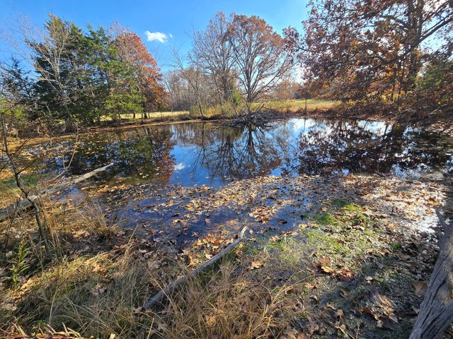 1978 Old Highway 60, Birch Tree, MO 65438