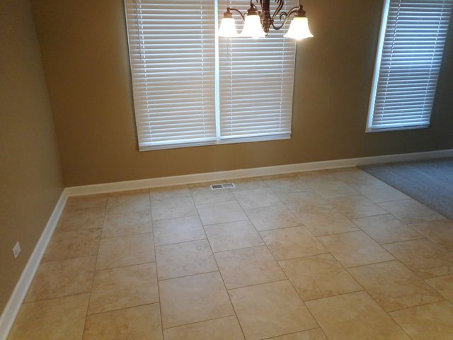 207 Downing Drive, Bloomingdale, IL 60108