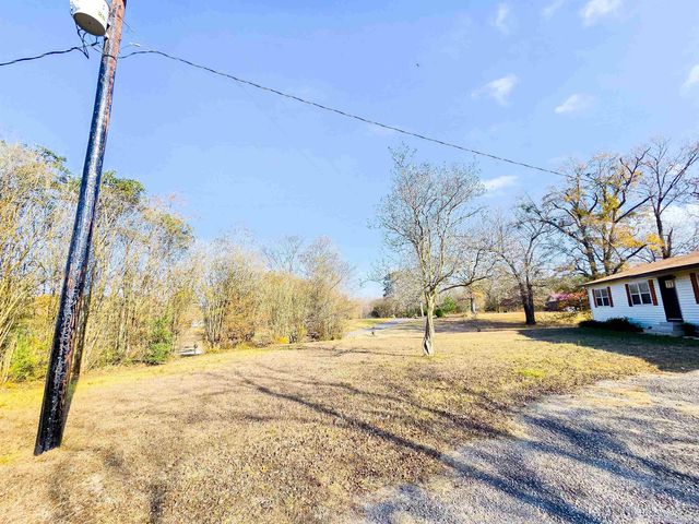 13120 Smilax RD, Diana, TX 75640