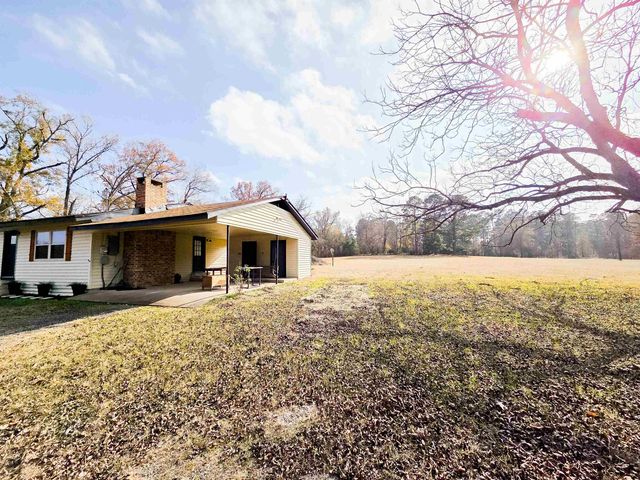 13120 Smilax RD, Diana, TX 75640