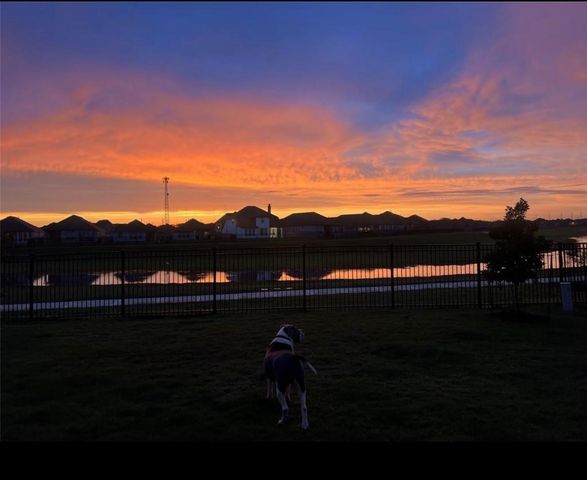 2119 Parker Grove Drive, Manvel, TX 77578