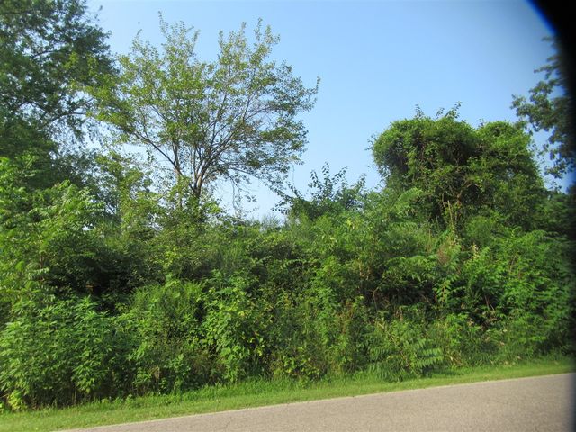 12161 Bair Lake Street, Jones, MI 49061