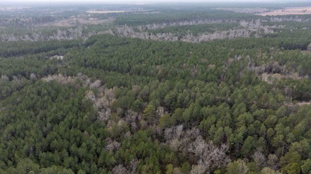 TBD Phil Cooley Rd, Longville, LA 70652