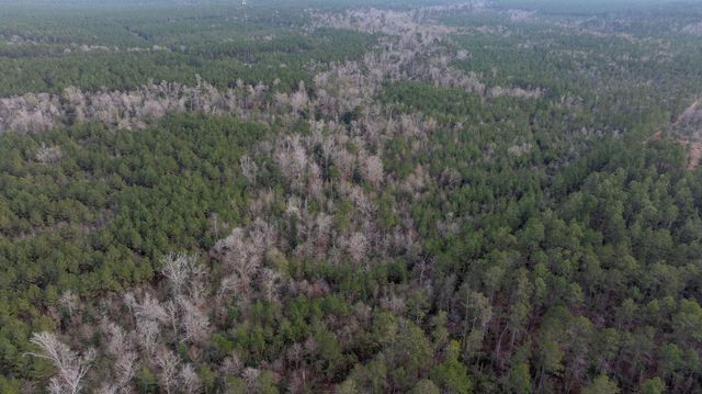 TBD Phil Cooley Rd, Longville, LA 70652