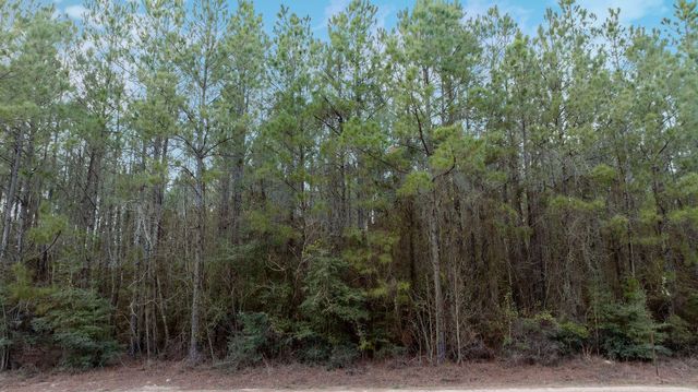 TBD Phil Cooley Rd, Longville, LA 70652