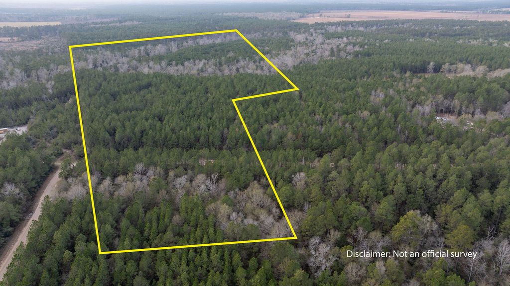 TBD Phil Cooley Rd, Longville, LA 70652