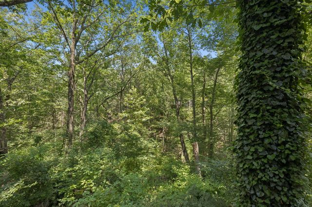 501 N Palisades Drive, Signal Mountain, TN 37377