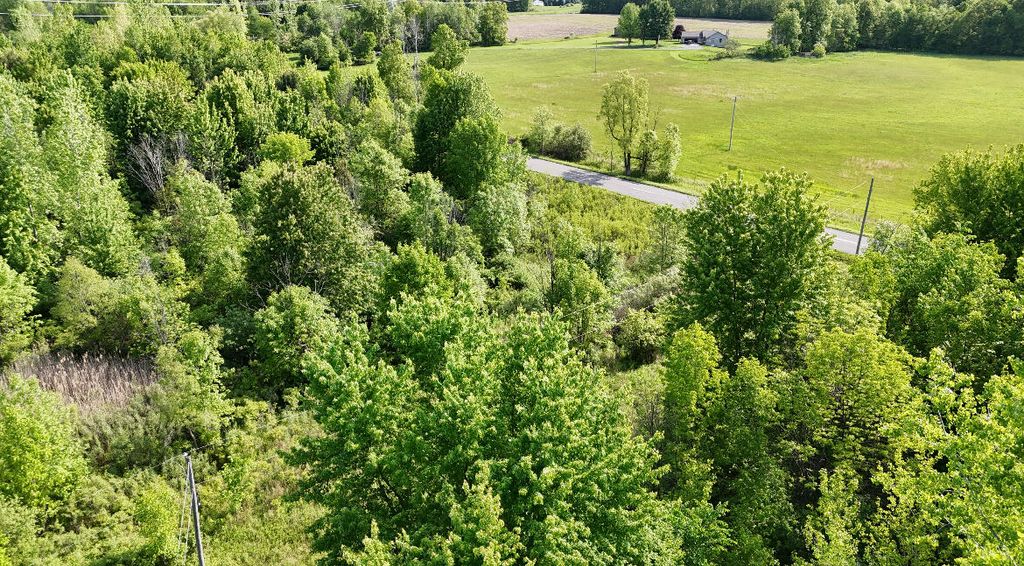 13027 Shaner Avenue NE, Cedar Springs, MI 49319