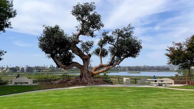 857 Home Ave, Carlsbad, CA 92008