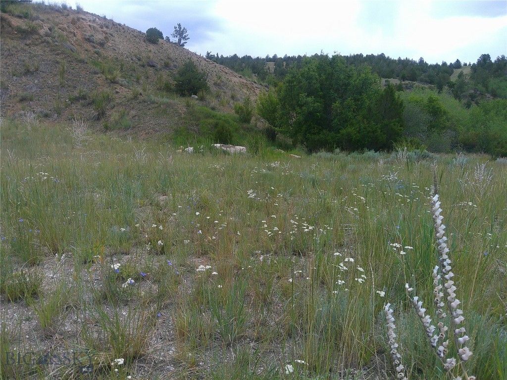 69 Sleepy Hollow Drive, Anaconda, MT 59711 — photo 5