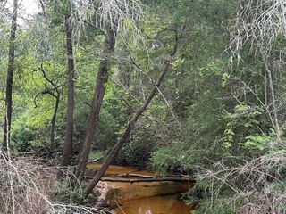 33+/- ac Keyser Mill Road, Baker, FL 32531