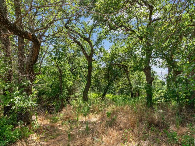 Lot 54 Kilkenny Rd, Poolville, TX 76487