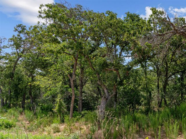 Lot 54 Kilkenny Rd, Poolville, TX 76487