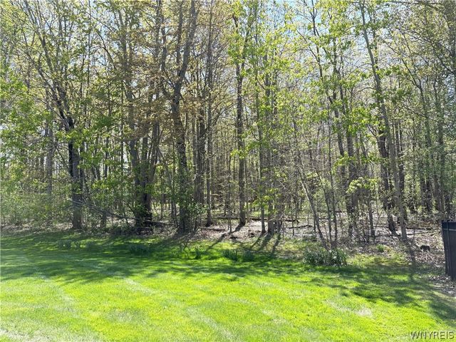 2314 Winterberry Drive, Hamburg, NY 14085