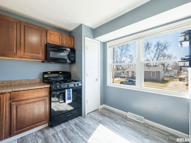 3919 W VIRDEN Drive, Peoria, IL 61615