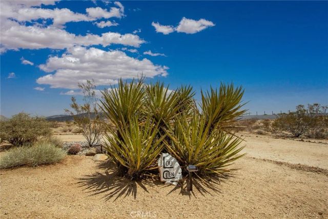 55921 Ornelas Lane, Landers, CA 92285