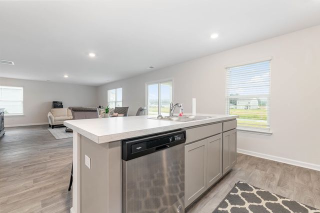 614 Strawberry Field Way, Galivants Ferry, SC 29544