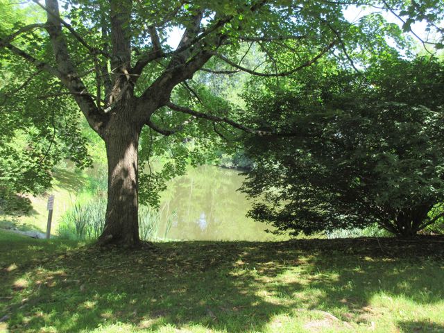 413 Fox Hollow Way, Manchester, NH 03104