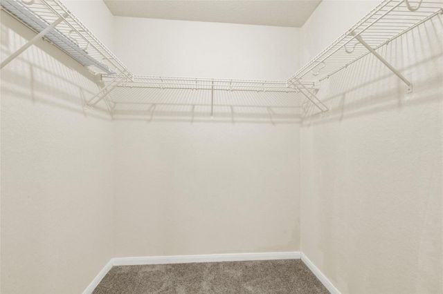 217 Teron DR, San Marcos, TX 78666