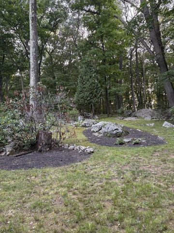 26 Mountain Rd, Roxbury Twp., NJ 07852