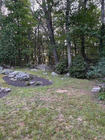 26 Mountain Rd, Roxbury Twp., NJ 07852