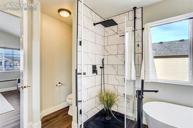 3217 Sand Flower Drive, Colorado Springs, CO 80920