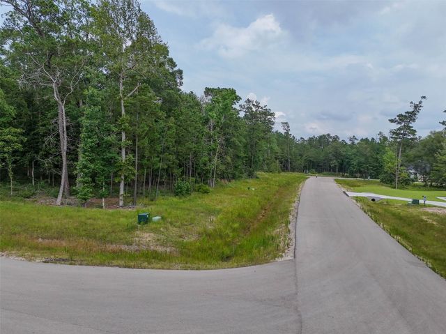 106 Eagle Run Road, Willis, TX 77378