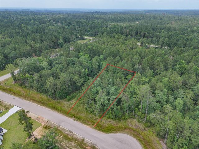 106 Eagle Run Road, Willis, TX 77378