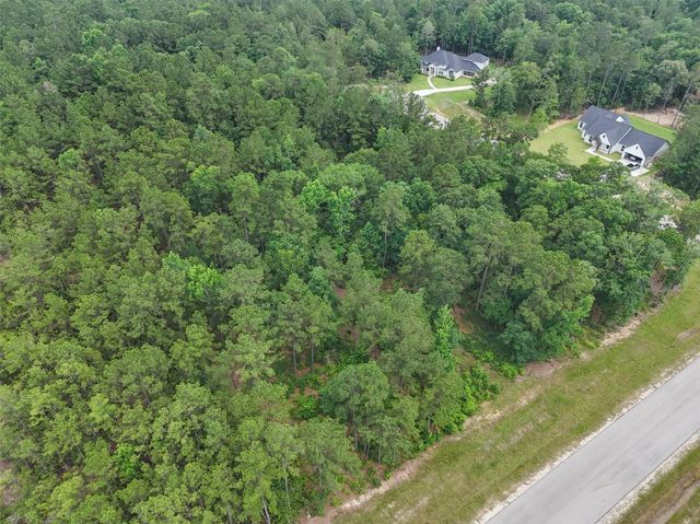 106 Eagle Run Road, Willis, TX 77378