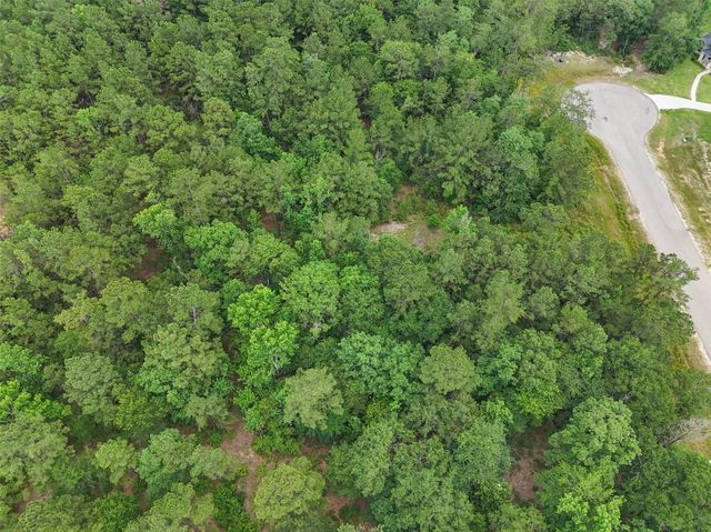 106 Eagle Run Road, Willis, TX 77378