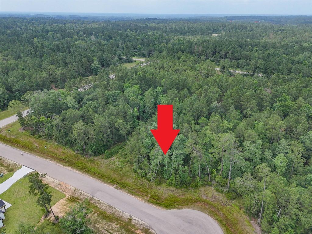 106 Eagle Run Road, Willis, TX 77378