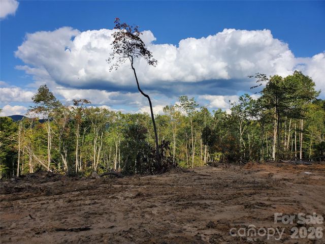 Lot 32 Parkwood Hill Road 32, Spruce Pine, NC 28777