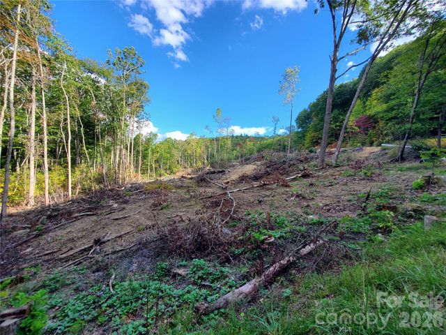 Lot 32 Parkwood Hill Road 32, Spruce Pine, NC 28777